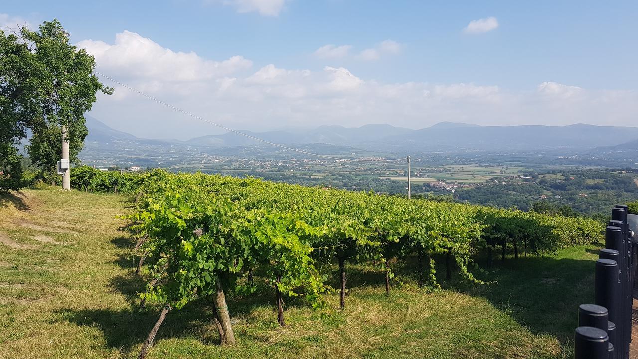 Lisandro Wine Resort Apartments Caserta Castel Campagnano Exterior foto