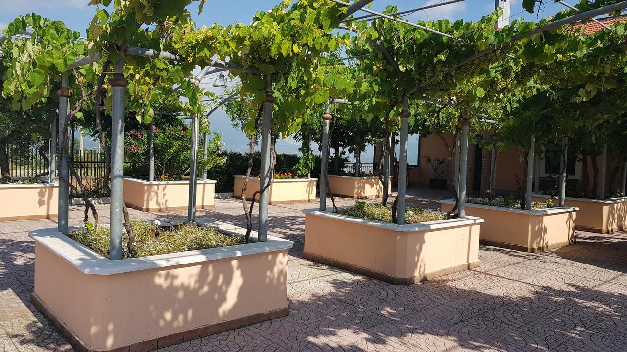 Lisandro Wine Resort Apartments Caserta Castel Campagnano Exterior foto
