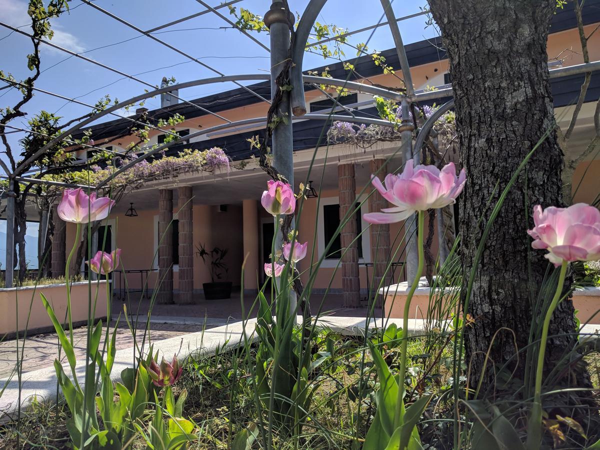 Lisandro Wine Resort Apartments Caserta Castel Campagnano Exterior foto